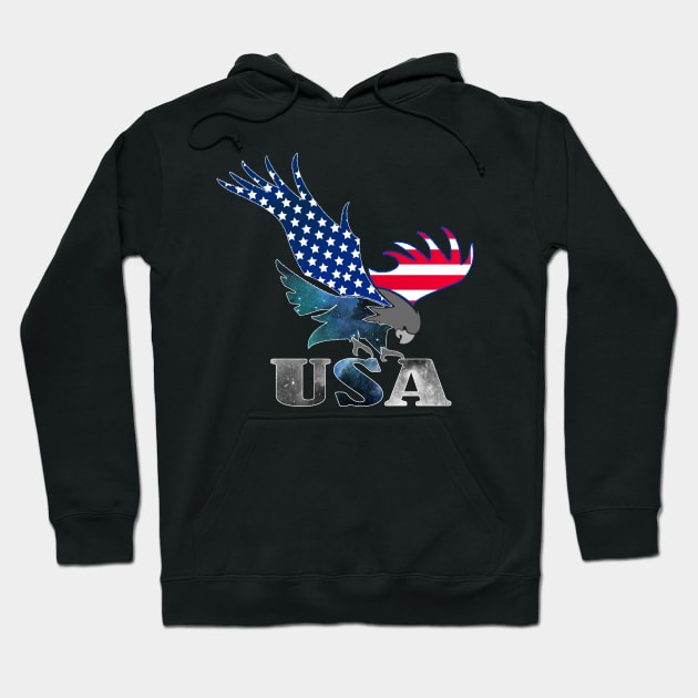 United states of america Hoodie by Creation Cartoon